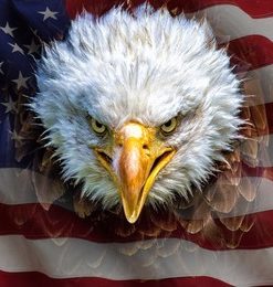 Alternative view of Small Gift Box - America